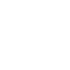 NicePng_instagram-circle-logo-png_475136.png